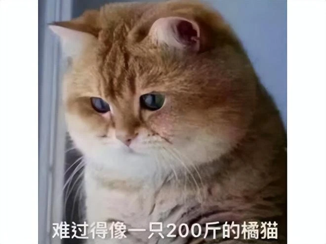 離譜!辛苦研發一年多的遊戲,卻被人分分鐘「騙」到正版著作權?