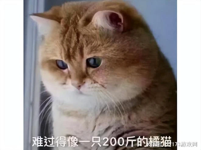 比冒充老乾媽騙騰訊更離譜?頂著真名真姓,用盜版把正版搞下架!