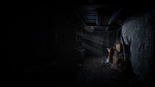 《生化4RE》VR模式高清截圖:第一人稱視角恐懼加倍