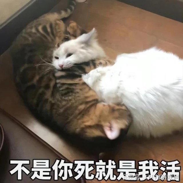 《命運方舟》不限號、《無畏契約》測試！騰訊10大動作備戰暑期檔