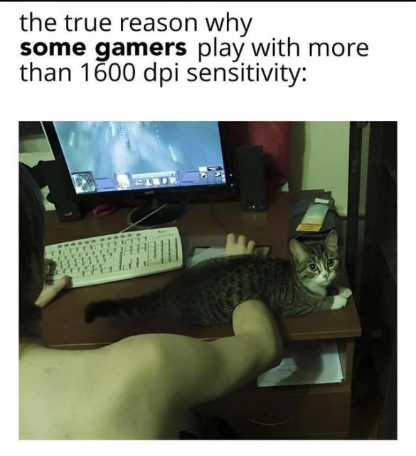 DOTA2沒屁事——今日REDDIT討論熱點搬運(2023.05.28)