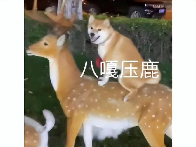 日本遊戲在中國又翻車？台服不到一年停運，網友表示原神又贏了