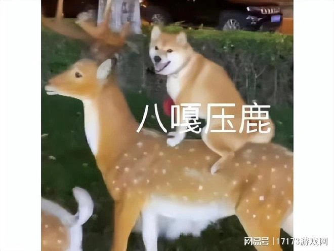 因美臀而大賣的2B小姐姐,做成手游登第一,台服卻不到一年停運