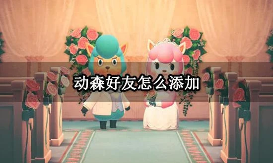 動森好友怎麼添加 動物森友會加好友全流程