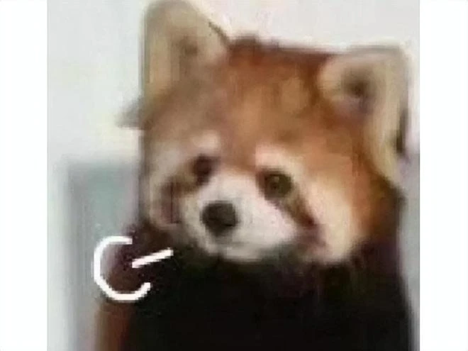 成年人的崩潰就在一瞬間!電競解說抑鬱自殺,官方發文悼念