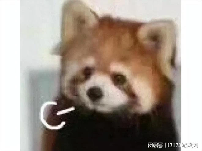 願天堂沒有霸凌！DOTA2史上最敬業解說26歲離世，玩家喊話V社！