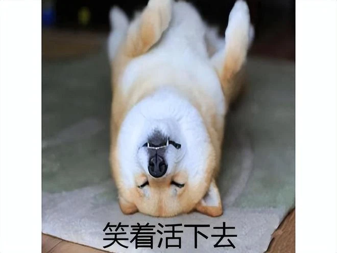 玩德魯伊的都這樣?主播爆肝《暗黑4》硬核模式,打盹2秒存檔全無