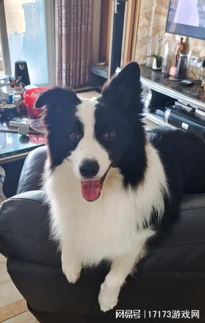 開放世界《仙劍世界》首測！五年磨一劍新作《藍色協議》終於公測