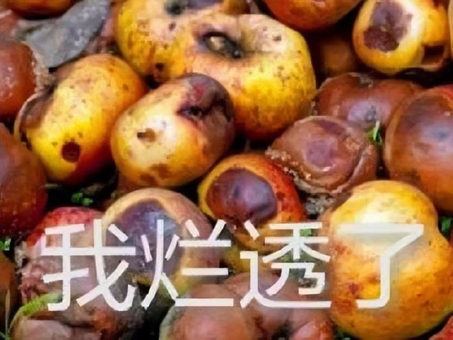 人氣超暗黑4的跑酷遊戲，變態難度，讓PDD崩潰周姐口吐芬芳