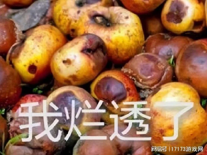 Steam最火找虐遊戲，國內網絡人氣超《暗黑4》，大司馬被氣到下播