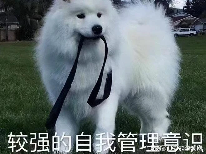 「遊戲番劇」是啥？這款過審遊戲劇情大下血本，可惜玩法不太行