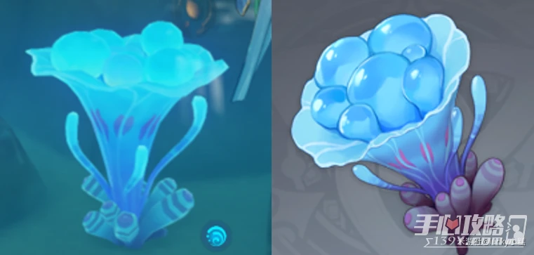 《原神》楓原萬葉突破材料海靈芝183個收集攻略