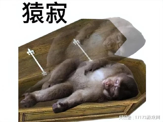 日版DNF手游被運營坑了？因太吝嗇導致玩家流失，上線1年就停運