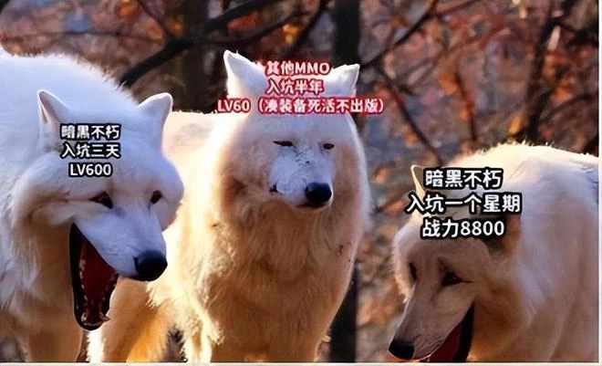 火了26年的暗黑系列，2023年雙喜臨門，新游新版本都來了！