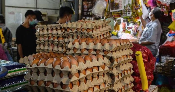 末沙布：大馬政府已停止從泰國印度進口雞蛋