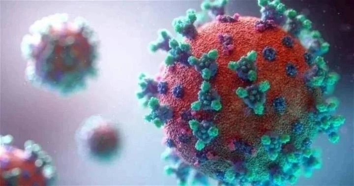 全馬新冠病例下降15.7%