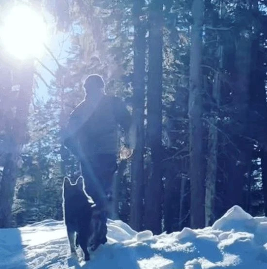 《荒野大鏢客2》中的狗狗凱恩去世 動畫師發文悼念