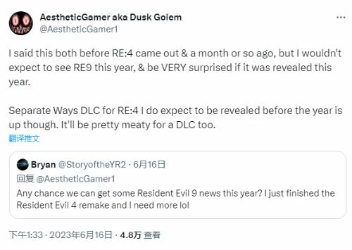 曝《生化4RE》艾達王DLC年內發布 生化9無望公布