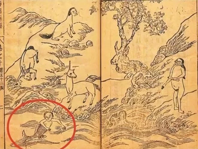 海底也能呼吸？海底撿垃圾竟然撿到了美女！