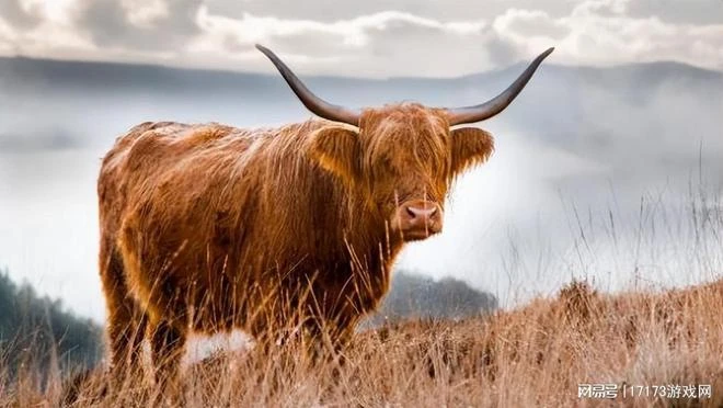 《暗黑破壞神4》奶牛關顯端倪：玩家們在努力！