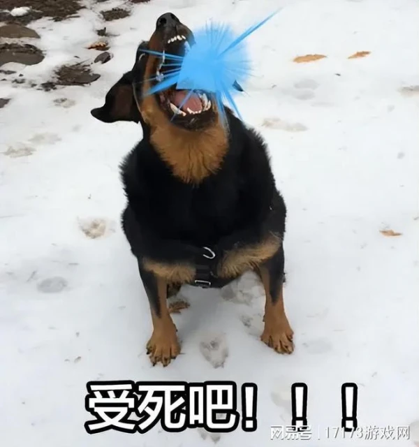 暑期檔準備開炸！《射鵰》三測來襲，《命運方舟》等多款遊戲定檔