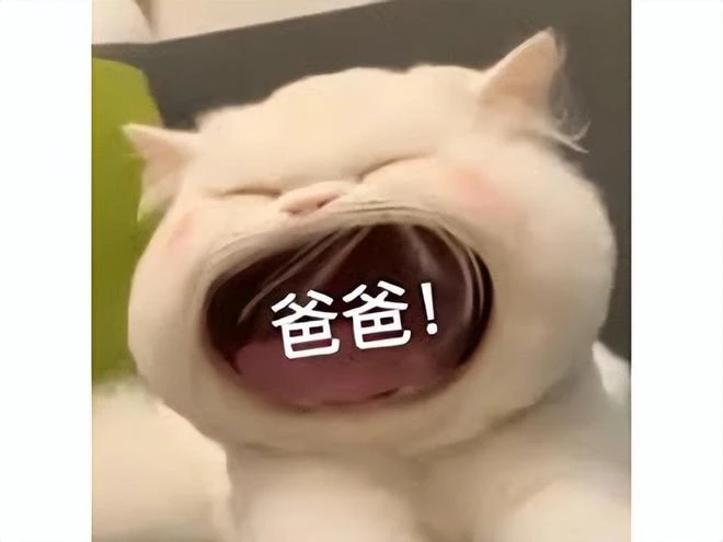 等了7年終於來了！《最終幻想16》發售，玩家：我玩不上