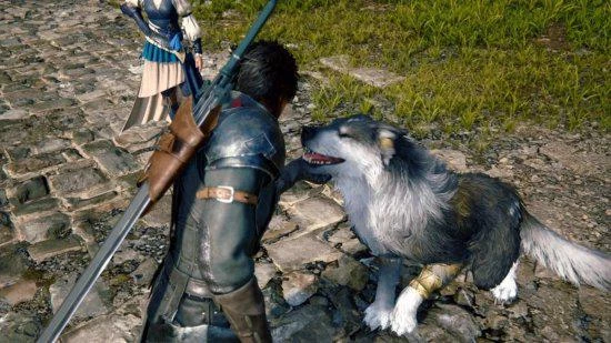 網友戲稱對《FF16》玩家感到失望：才25%玩家摸狗