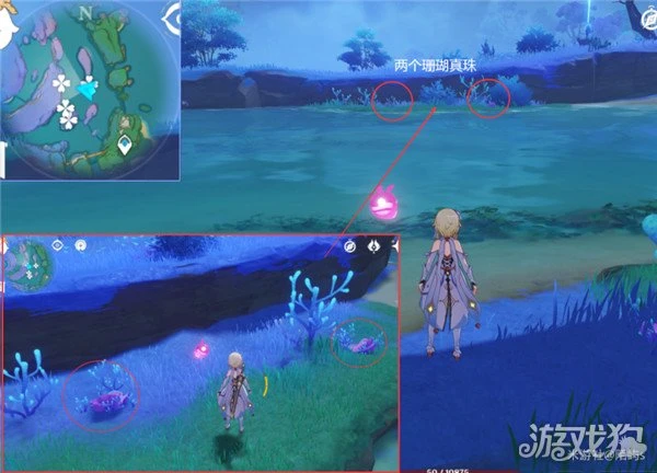 原神珊瑚真珠採集路線一覽 6分鐘採集59個