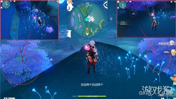 原神珊瑚真珠採集路線一覽 6分鐘採集59個