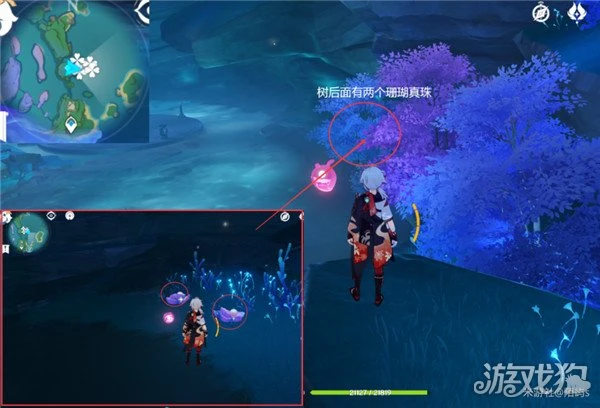原神珊瑚真珠採集路線一覽 6分鐘採集59個