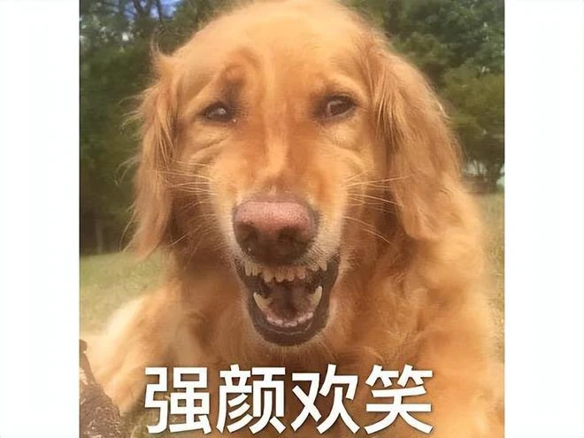 800萬勇士憋了兩三個月後，突然放出7G更新，引百萬玩家抗議