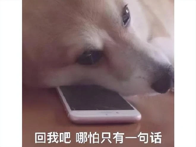 嫌遊戲女主太醜，網友進行AI陣容結果遭網暴，暴躁作者在線反懟