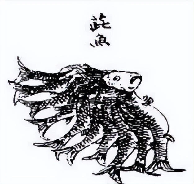 傳說中的深海巨怪，為什麼那麼多MMO里都有？