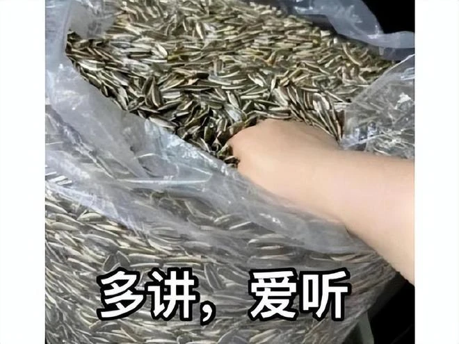 育碧突然寵粉了起來？花錢買下歌曲版權，暴雪人品太差躺槍