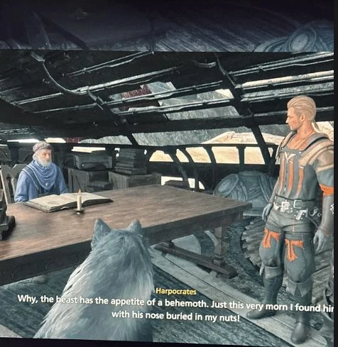 玩家發現FF16奇怪英文葷段子 疑似本地化部門故意的