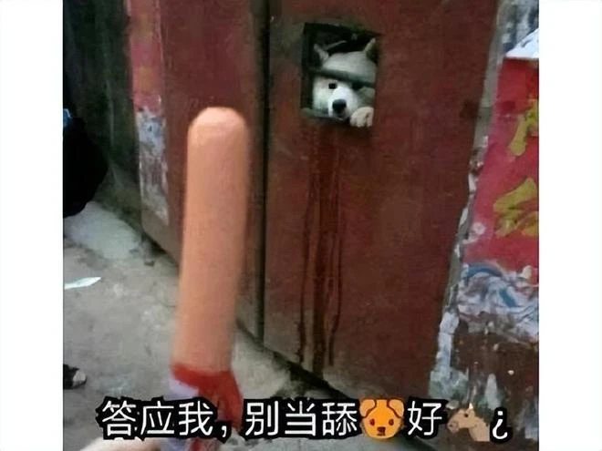 老滾玩出新高度，大神分享最騷MOD，一個更新讓玩家都成了舔狗