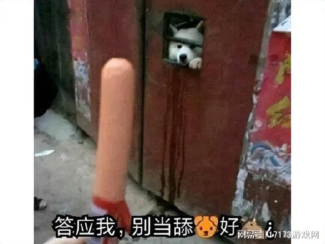 老滾女玩家拿捏百萬男玩家？紳士MOD太撩人，半年後玩家成舔狗