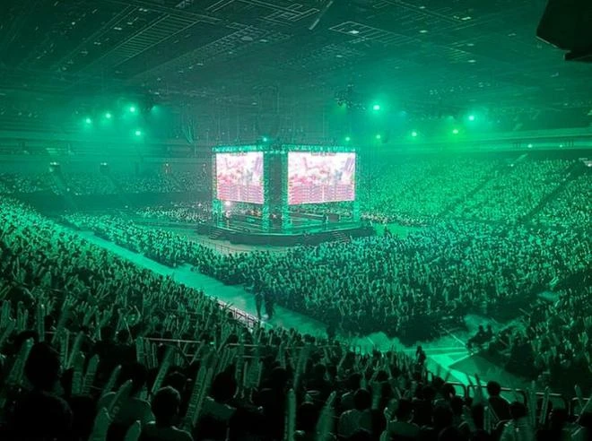 這款遊戲里,無數玩家遠征日服,只為聽櫻花妹喊上一句nice