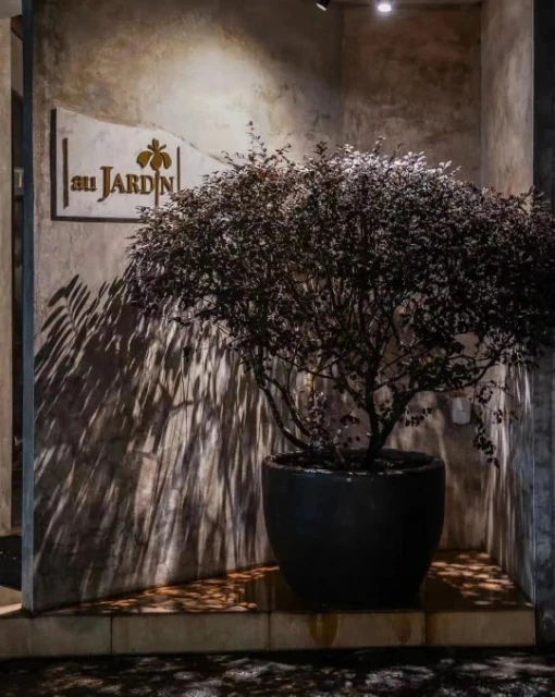 港真RCEP資訊 | 2023年檳城米其林餐廳指南（一）