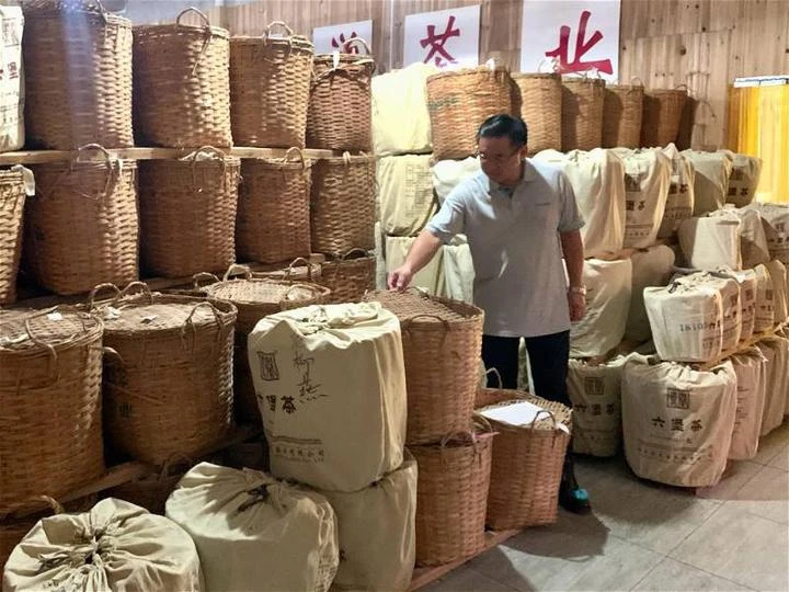 廣西梧州茗茶文化有望落戶甲州　顏天祿：開闢馬中文化經貿交流合作