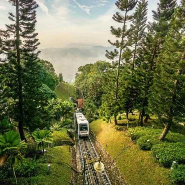 港真RCEP資訊 | 約 約 約 快來這補充「多巴胺」