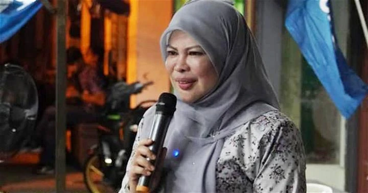 稱屢次更換上陣選區不影響勝算　麗娜哈倫：憑藉國盟競選宣言可取勝