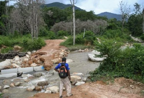 大馬森林覆蓋率與去年相比稍微降　孫偉瑄：仍多於50%