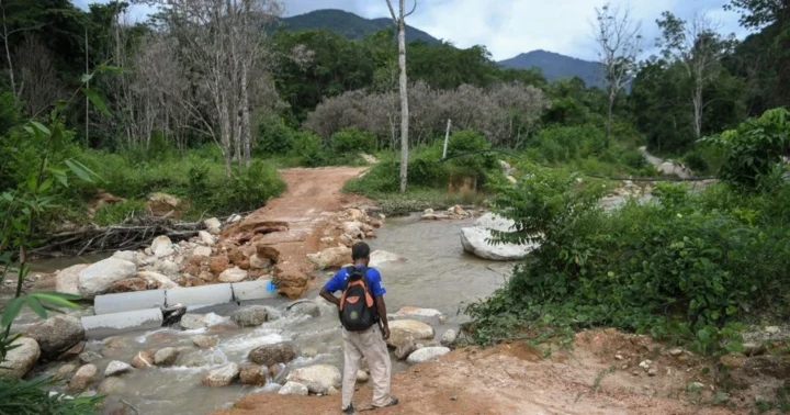 大馬森林覆蓋率與去年相比稍微降　孫偉瑄：仍多於50%