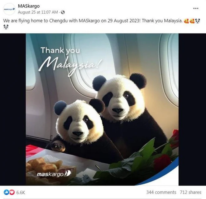 熊貓幼崽「誼誼」「升誼」829離馬　眾多網民不舍