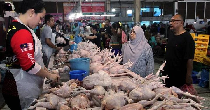 傅芝雅：肉雞沒漲價　反之降價0.33%