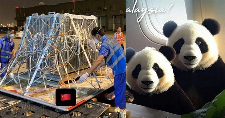 誼誼與升誼今早抵達中國　「你好成都！」