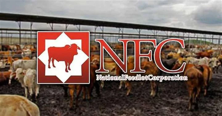 養牛公司上訴得直　大眾銀行需付50萬堂費