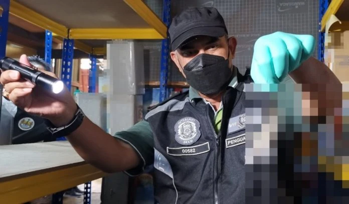 檳老字號咖啡廠被衛局檢查　當場被搜出老鼠乾屍