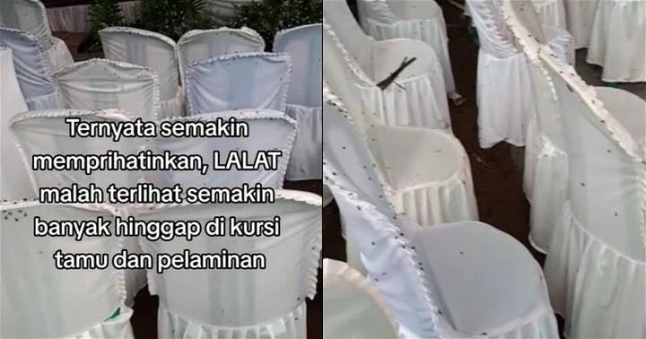 婚宴被數十萬隻蒼蠅包圍　新人崩潰婚宴搞砸了